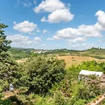 Brown Siena